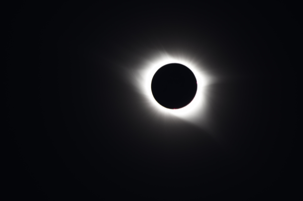 Reactions to Monday's Eclipse